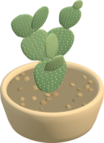 Bunny ears cactus, with rounded pads and golden prickles.