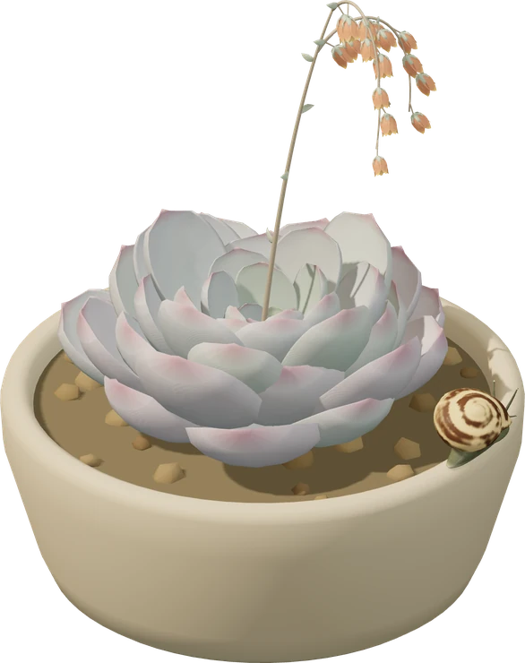 A flowering pale green succulent with a striped snail resting on the rim of its pot.