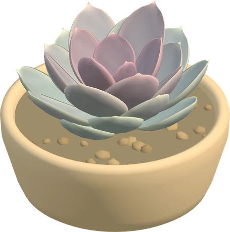 Perle von Nürnberg, with lavender and pale green leaves in a rosette.