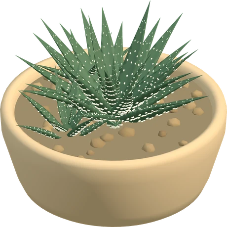 Zebra haworthia, with pointed green leaves and white markings.